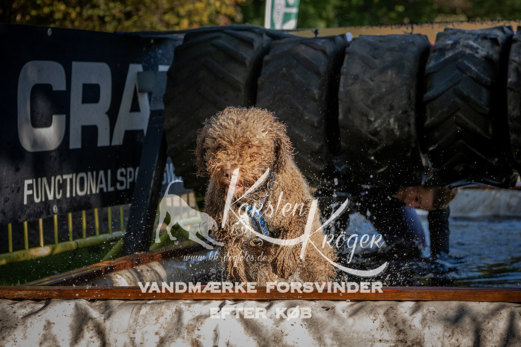 0943_ZZ91775 | kk-dogfotos