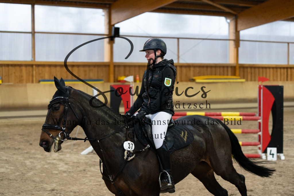 A7V00842 | Pferdefotograf