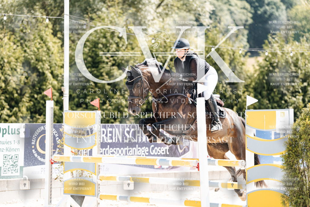 CK909293 | Turnierfotografie Pferdefotografie Trier Rheinland-Pfalz Pferdesport Reitsport Tierfotografie Sportfotografie Pferdevideo Pferdevideografie Equestrianvideography equestrianphotography  - Realisiert mit Pictrs.com