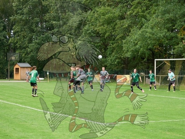 SpG Freya Marienwerder-Union Klosterfelde III vs. SpG Biesenthal-Grüntal II 230 | mythos-online-redaktion