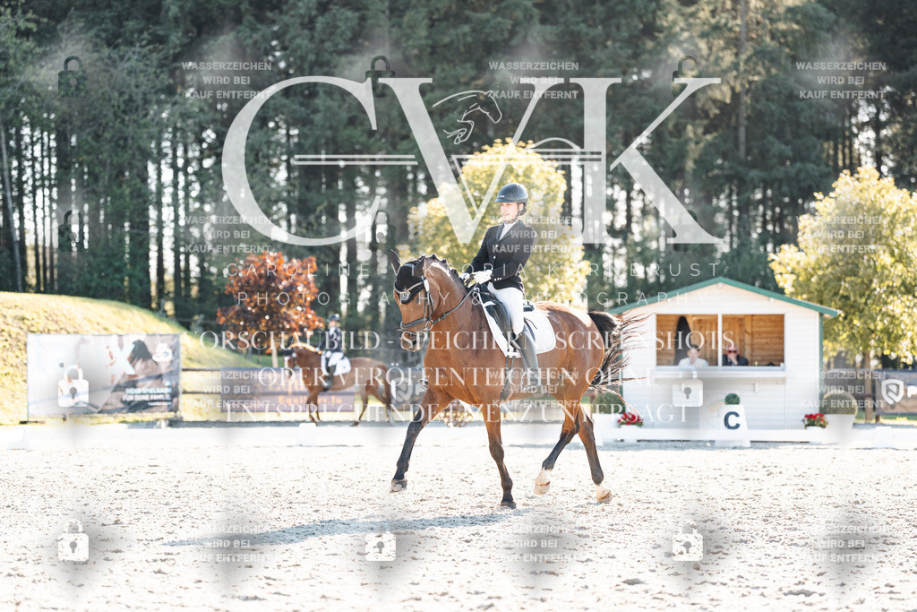 CK906781 | Turnierfotografie Pferdefotografie Trier Rheinland-Pfalz Pferdesport Reitsport Tierfotografie Sportfotografie Pferdevideo Pferdevideografie Equestrianvideography equestrianphotography  - Realisiert mit Pictrs.com