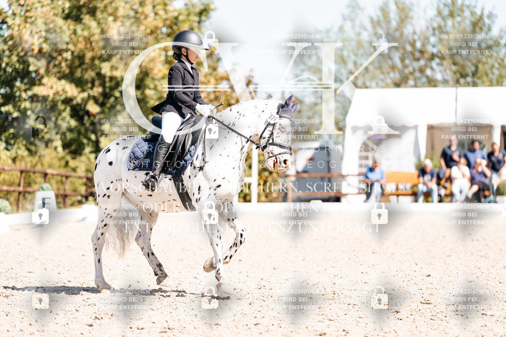 CK904158 | Turnierfotografie Pferdefotografie Trier Rheinland-Pfalz Pferdesport Reitsport Tierfotografie Sportfotografie Pferdevideo Pferdevideografie Equestrianvideography equestrianphotography  - Realisiert mit Pictrs.com