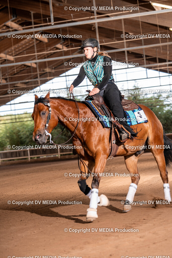 Erbach Tag 2-1213 | dv-media-shop - Realisiert mit Pictrs.com