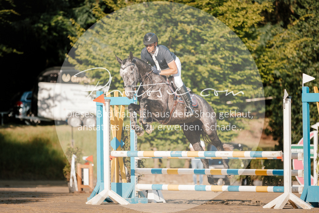 3I6A6101 | Stimmungsvolle Portraits und Reitsportfotografie im Ruhrgebiet und im Münsterland.

Pferdefotografie, Hundefotografie, Tierfotografie, Reportagen, Portraits von Tier und Mensch, Turnierfotografie in Bochum, Recklinghausen, Marl, Haltern am See, Dülmen.. - Realisiert mit Pictrs.com