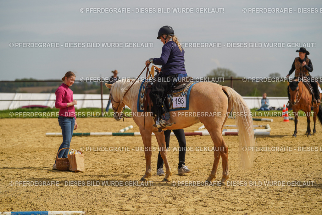 DSC04208 | Pferdegrafie