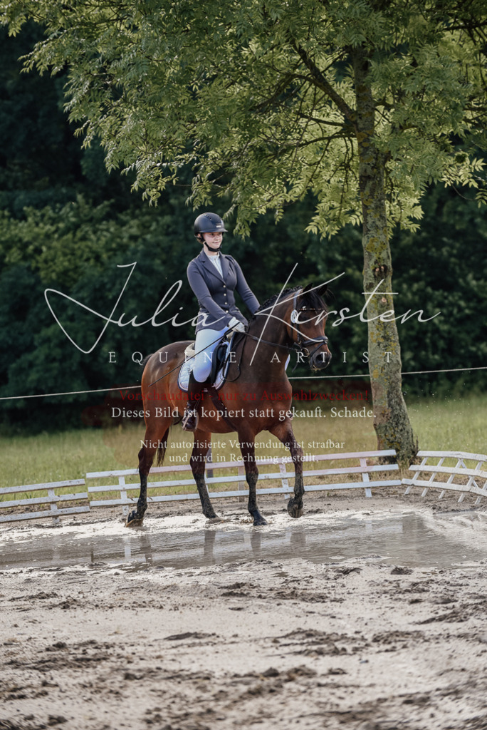 DSC_8271 | Pferde- und Turnierfotografie in Westsachsen. Pferdeportraits, Auftragszeichnungen und intuitive Kunst.