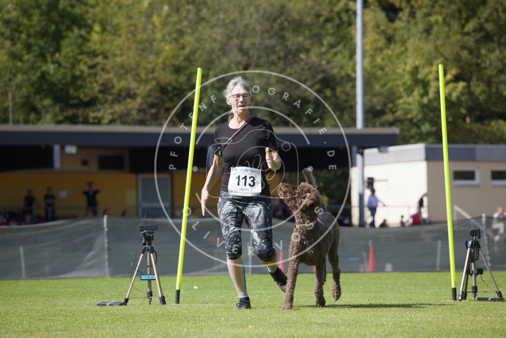 0L8A2737 | Hundefotografie, Tierfotograf, Pfotenfotografie, Fotoshooting Hund, Hunde Portrait, Hundesport, Hundeportraits, Heideshooting, Hunde, Sportfotograf, Hundefotograf, Turnierhundsport, THS,  - Realisiert mit Pictrs.com