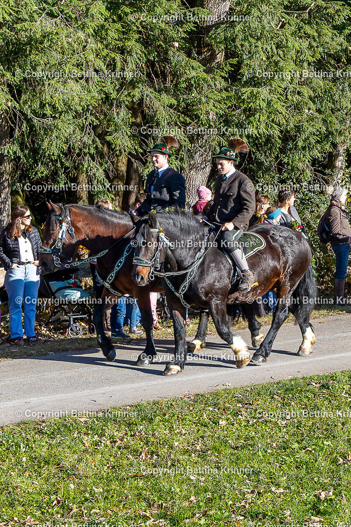 LBT25-86 | foto-bettina-krinner - Realisiert mit Pictrs.com