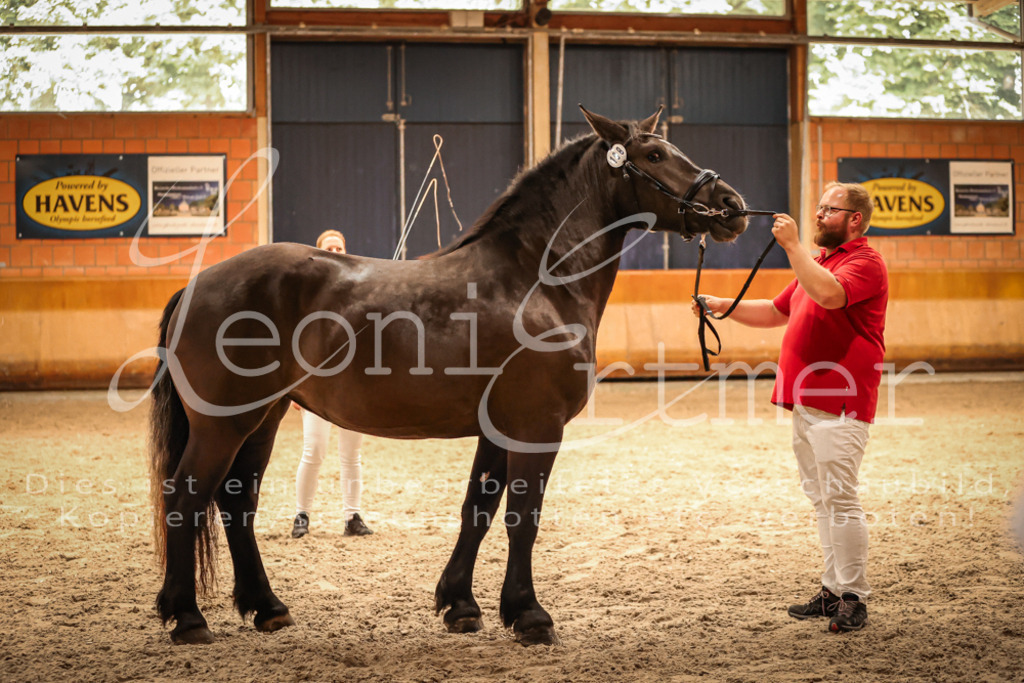 SaFL00366 | Leoni Ertmer Photography - Realisiert mit Pictrs.com