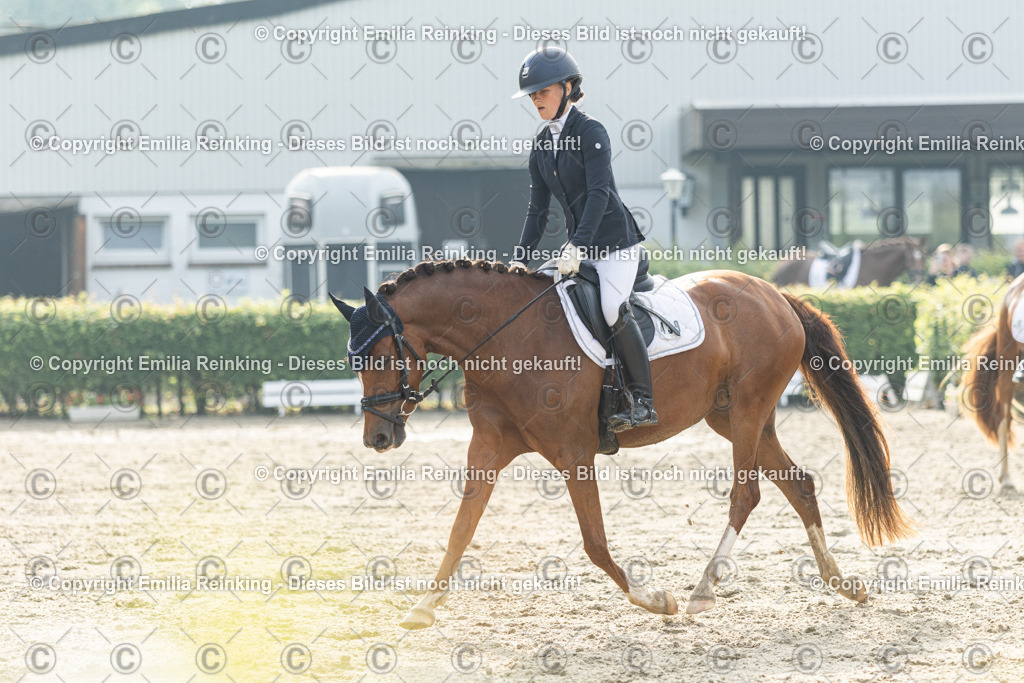 CL5A3628 | Emilia Reinking Fotografie - Realisiert mit Pictrs.com