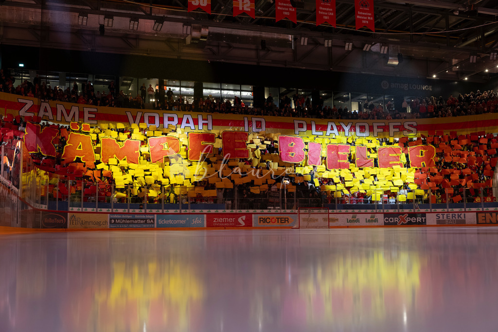 EHCB vs SCB 20260312_wb-5933 | Sportbilder, Sportfotograf, Hochzeits- und Eventfotografin, Flugshows, Portraits und Tiershooting, Aviation, Downhill, Nationalleague, Swissleague, International