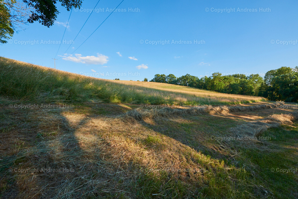 Im NSG _Trockenhänge südöstlich Lommatzsch_ | Bedeutsame Landschaften Deutschlands - Realisiert mit Pictrs.com