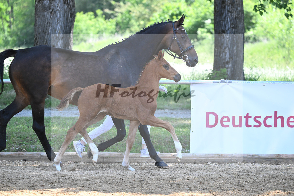 Kat-Nr. 14 SF DSP Feliciano_Mayr_14230510 | hf-fotografie - Realisiert mit Pictrs.com