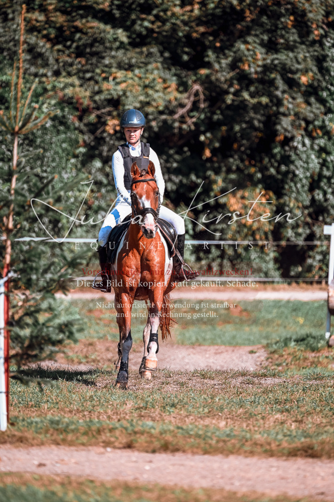 DSC_1039 | Pferde- und Turnierfotografie in Westsachsen. Pferdeportraits, Auftragszeichnungen und intuitive Kunst.