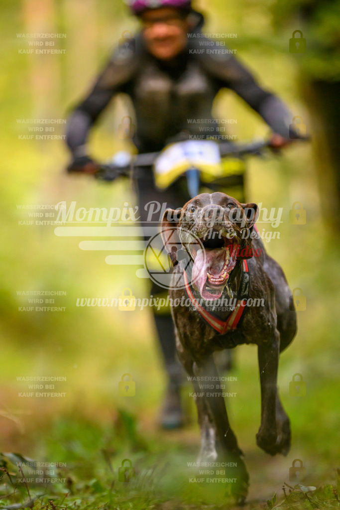 MompixPhotography_Yens2025_B2-36 | PayLife