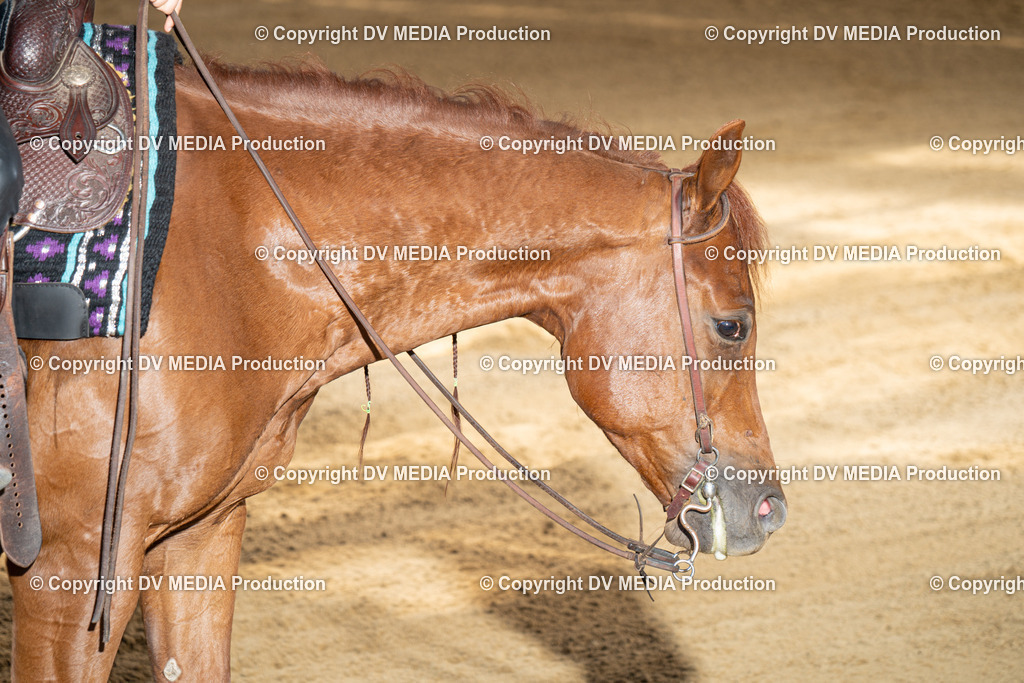 DSC00021 | dv-media-shop - Realisiert mit Pictrs.com