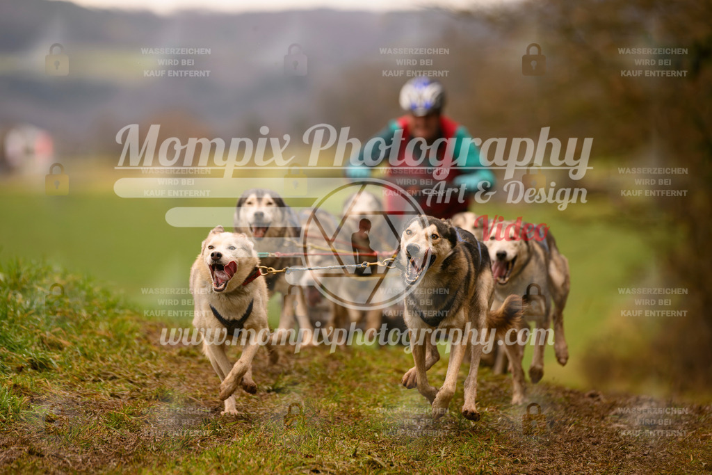 MompixPhotography_2SSTSSBW_2025_SO_Kart-49 | PayLife