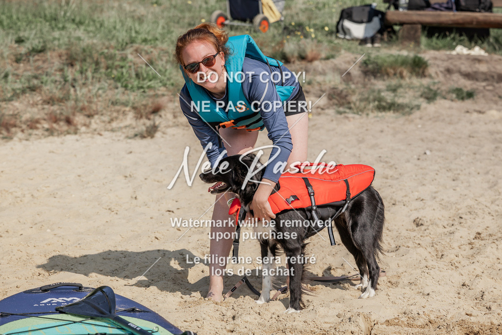 BUHU_SUP_039 | nelerasche