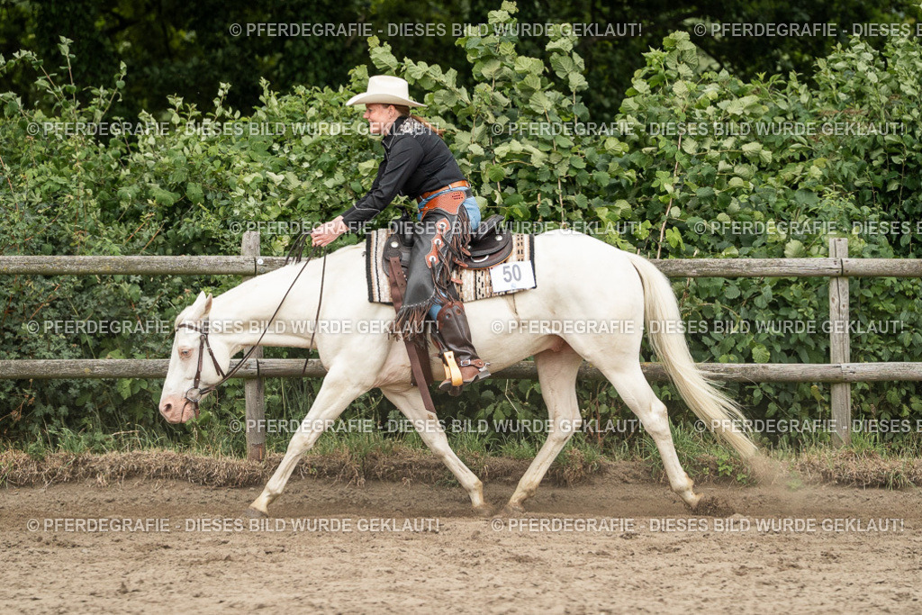 DSC04211 | Pferdegrafie