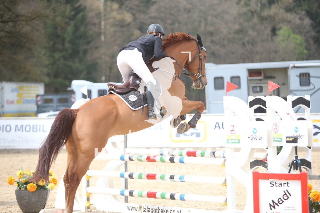 PP017340 | Willkommen bei Brunnmayr - Design & Fotografie – Ihrem Spezialisten für Reitturniere und Pferdeveranstaltungen in Oberösterreich, Salzburg und Bayern! Seit über 17 Jahren sind wir leidenschaftlich dabei.