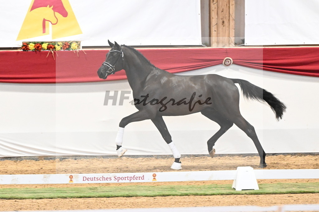 Kat.-Nr. 39 v. De Chirico_Schadock_3260297 | hf-fotografie - Realisiert mit Pictrs.com
