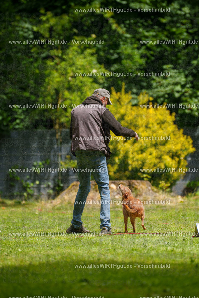 @allesWIRTHgut_Tierfotografie - www.allesWIRTHgut.de - 121825-7R508840 | Professionelle Tierfotografie in Mönchengladbach von Daniel Wirth (allesWIRTHgut). Liebevolle & natürliche Bilder von Hunden & Katzen für unvergessliche Erinnerungen.