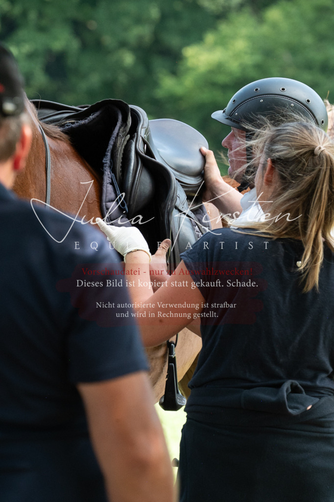 DSC_0662 | Pferde- und Turnierfotografie in Westsachsen. Pferdeportraits, Auftragszeichnungen und intuitive Kunst.