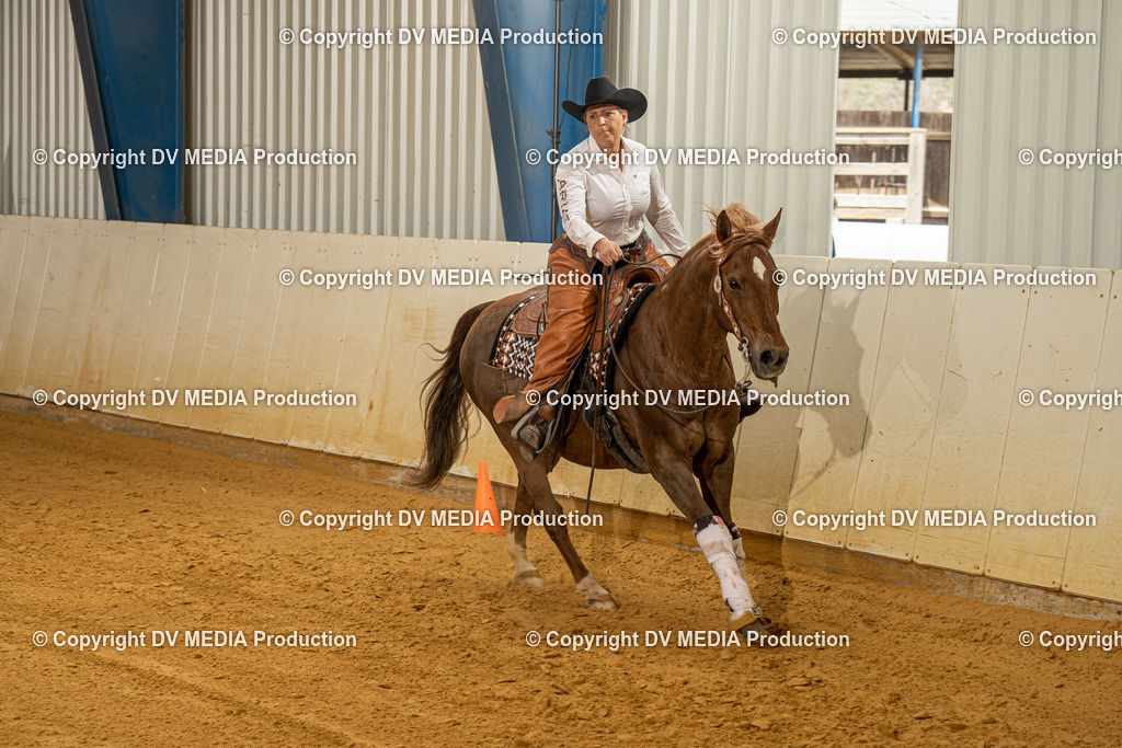 MIT00316 | dv-media-shop - Realisiert mit Pictrs.com