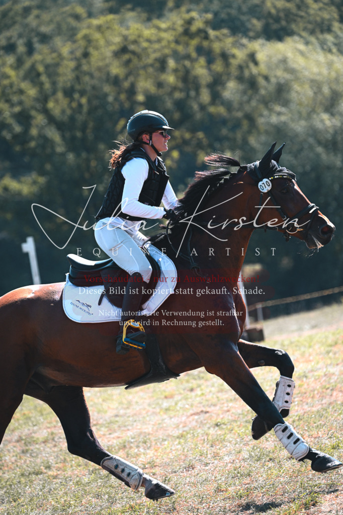 DSC_8310 | Pferde- und Turnierfotografie in Westsachsen. Pferdeportraits, Auftragszeichnungen und intuitive Kunst.
