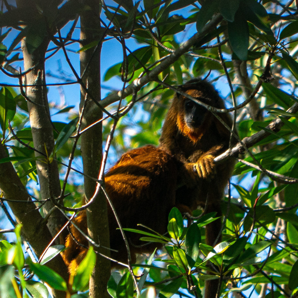 20251118-DeltaTour-0038 | paulependelt - Realisiert mit Pictrs.com