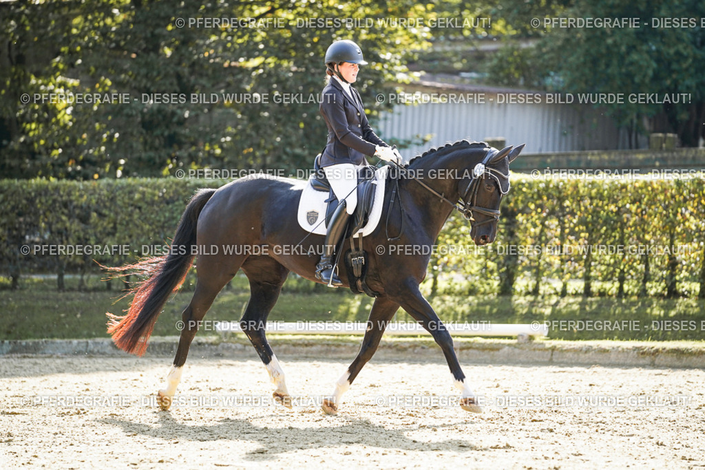 DSC06652 | Pferdegrafie