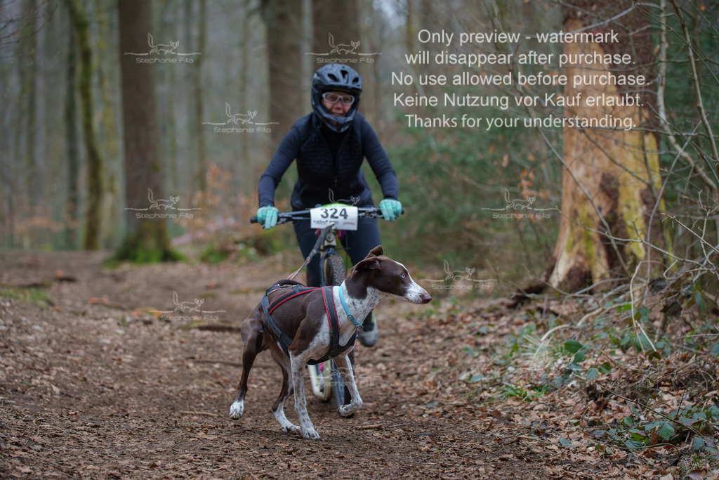 Scooter_So-98 | stephaniefillaphotographie - Realisiert mit Pictrs.com