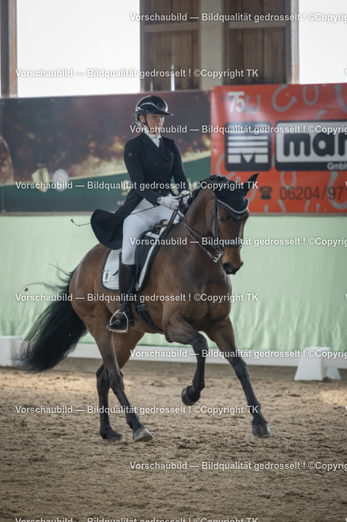 _D5A4842 | Emotionale Pferde- & People-Fotografie rund um Heidelberg, Leimen & Umgebung. Natürliche Fotos von Pferd, Mensch & Familie. Jetzt Termin sichern!