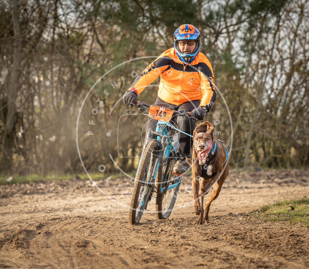 Pfotenfotografie_DV3A8605 | Hundefotografie, Tierfotograf, Pfotenfotografie, Fotoshooting Hund, Hunde Portrait, Hundesport, Hundeportraits, Heideshooting, Hunde, Sportfotograf, Hundefotograf, Turnierhundsport, THS,  - Realisiert mit Pictrs.com
