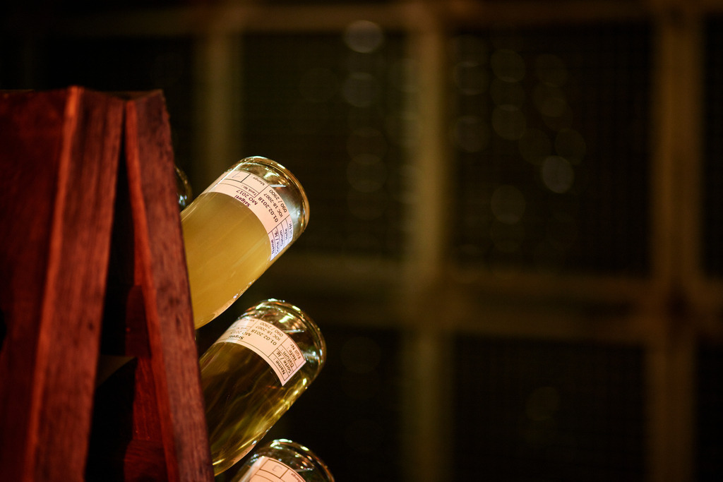 Sektkellerei Szigeti | Gols, Austria - February 19, 2018: Sektkellerei Szigeti; mehrere Sektflaschen in einem Rüttelbrett, im Hintergrund ein Regal. - Realisiert mit Pictrs.com