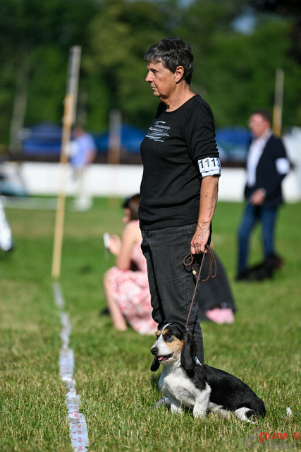 Dogshow CACIB Samstag in Aarau | Dogshow CACIB Samstag in Aarau. 24.06.2023 Foto: LeoWyden