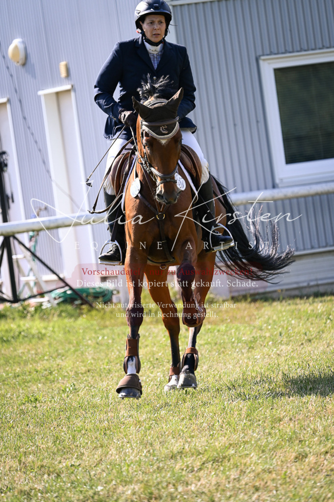 DSC_1263 | Pferde- und Turnierfotografie in Westsachsen. Pferdeportraits, Auftragszeichnungen und intuitive Kunst.
