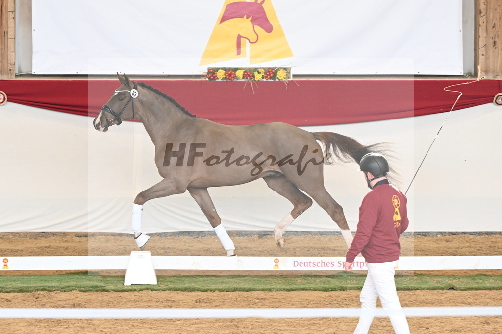 Kat.-Nr. 83 v. Valdiviani_Schult_3261191 | hf-fotografie - Realizzato con Pictrs.com