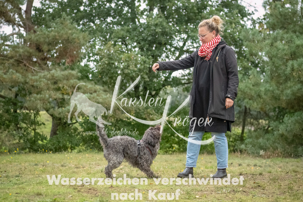 1509_ZZ94564-2-Bearbeitet | kk-dogfotos