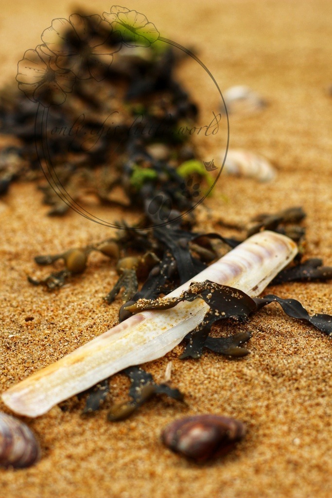 IMG_2498-01 | only.this.little.world - Realisiert mit Pictrs.com