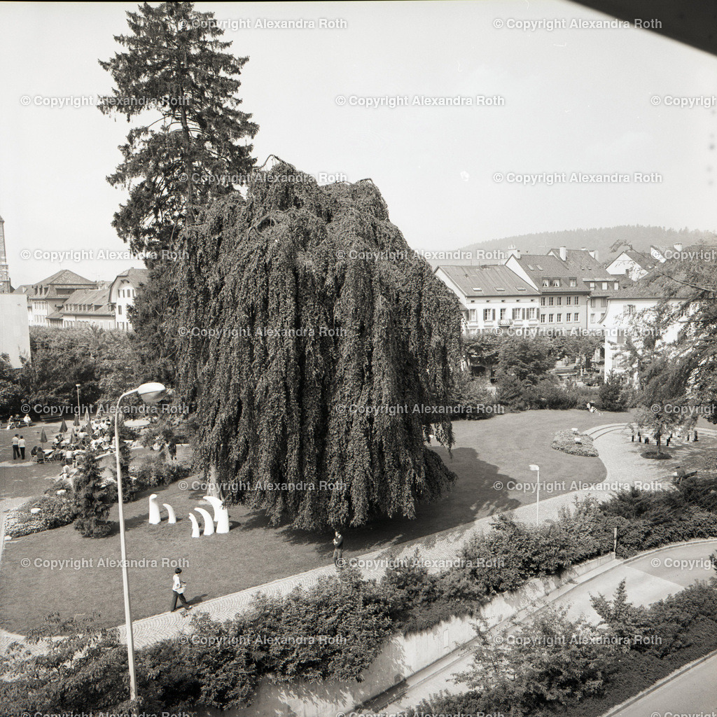 Aarau_0313 | onlineshop - Realisiert mit Pictrs.com