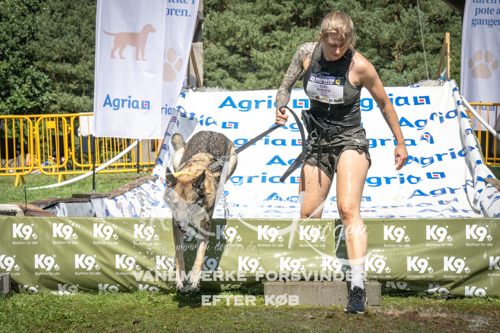 1457_ZZ96579 | kk-dogfotos