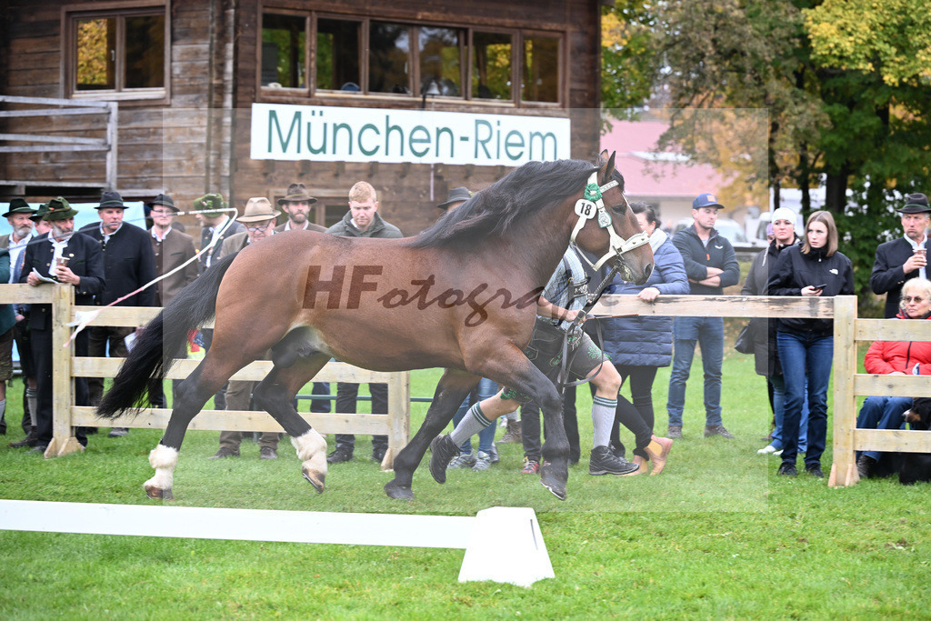 Kat-Nr. 18 Rosenkoenig v. Rivero_HHG Bad Toelz_41250443 | hf-fotografie - Realizzato con Pictrs.com