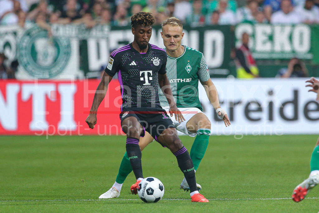 Fussball, Bundesliga, SV Werder Bremen - FC Bayern München | v.li.: Kingsley Coman (FC Bayern München, 11) und Amos Pieper (SV Werder Bremen, 5) im Zweikampf, Duell, Dynamik, Aktion, Action, Spielszene, DIE DFL-RICHTLINIEN UNTERSAGEN JEGLICHE NUTZUNG VON FOTOS ALS SEQUENZBILDER UND/ODER VIDEOÄHNLICHE FOTOSTRECKEN. DFL REGULATIONS PROHIBIT ANY USE OF PHOTOGRAPHS AS IMAGE SEQUENCES AND/OR QUASI-VIDEO.