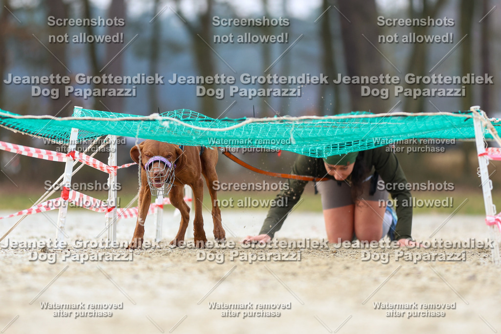 Dog Paparazzi - Strongdog North Mrz26-3966 | Dog Paparazzi Jeanette Grottendiek Fotografie & Videografie - Realisiert mit Pictrs.com
