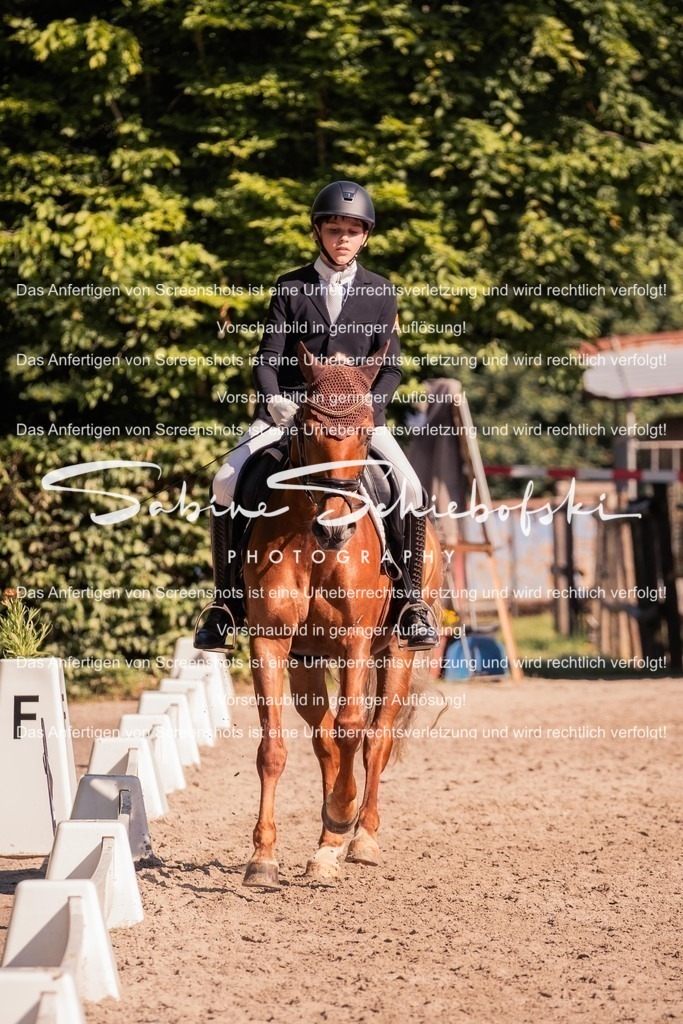 2025_05_31_DSCF2966 | People- und Tierfotografie, Imageaufnahmen, Veranstaltungsfotografie und Wandbilder aus der Natur ★ Made in Germany ✔️ Druck + Downloads ✔️ Naturfotografie in Top Qualität ★ schneller Versand, weltweite Lieferung! - Realisiert mit Pictrs.com