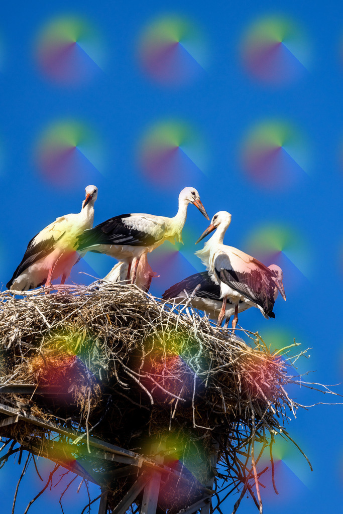 20240623_064206860 | FineArtPrint, Hahnemühle, FeeGalerie, Fee Galerie, Fotokunst, Fotografie, Canonphotography, Bergfoto, Matterhorn, Rimpfischhorn, Allalinhorn, Saas-Fee, Wallis, Valais, Switzerland, Bergfotografie