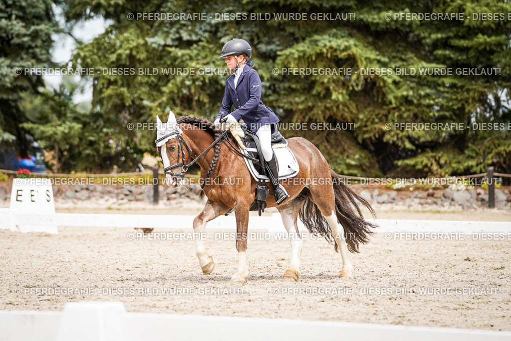 DSC04396 | Pferdegrafie