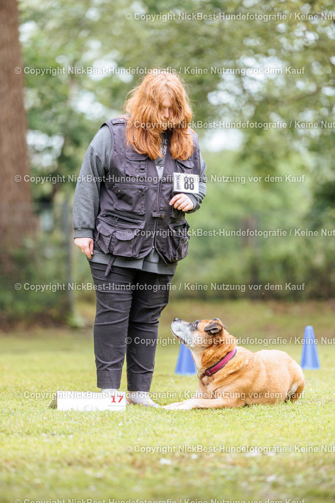 RO-Blumenthal-2026-Nickbest-Hundefotografie-4316 | Dein Hund! Dein Moment! Deine Erinnerungen! Hundefotografie in Bremen Blumenthal. Ich fange die besonderen Momente deines Vierbeiners ein – ob Indoor mit Blitzanlage oder in der freien Natur. Sicher dir dein Moment und dein Termin für eure Erinnerungen.