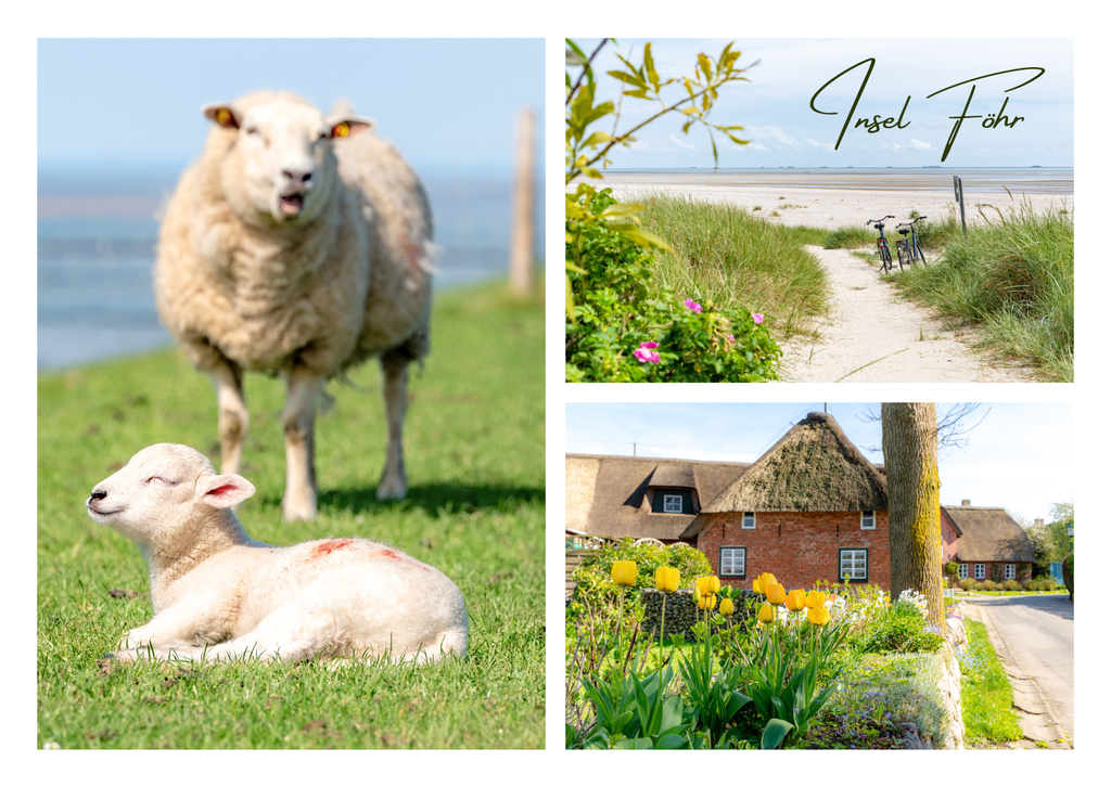 Motiv 21 | Eilun-Art-Fotografie Levke Martens, ihre Fotografin für Immobilien- und Landschaftsfotografie auf Föhr, Föhrer Motive als Poster, Leinwand, hinter Acrylglas oder stelle dir deinen eigenen Monatskalender zusammen, mit nur einem Klick